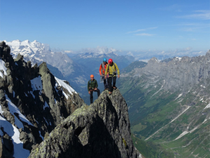SBV Nachwuchsförderung